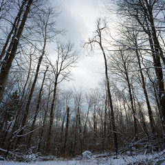 Drum & Bass/ Techstep mix