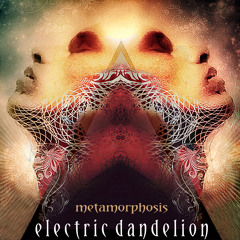 Electric Dandelion - Slither