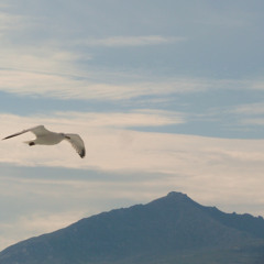 The Streets, Watching