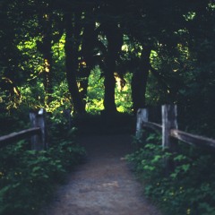 i am a big tree (demo)