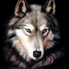 WOLF - LA TRIBU DE DANA (REMIXE 1998)