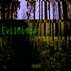 EVILMINDZ ft. ScruffyMane