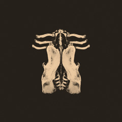 OKTOPLUT - "Fuir"