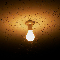 David Harvey-Kill The Light