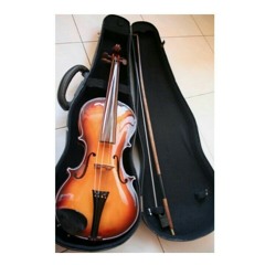 Titanic cover by (adi zain instrumen biola)