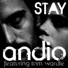 Stay (feat. Tom Wardle) Synthesis Edit