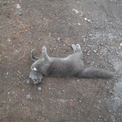 Rock beat U-bass Mahamantra TASCAM 0092