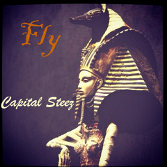 Fly ft. Capital Steez ( prod. Kirk Knight ) [ 2012 ]