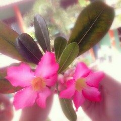 Bass Only Unholy Confessions.mp3