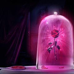 Beauty and the Beast - Baun