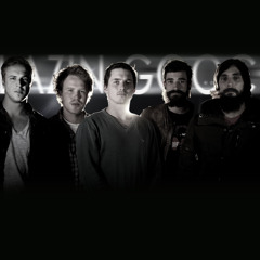 Drugs in a Zoo - Blazin Gooch