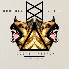 Dog's Attack