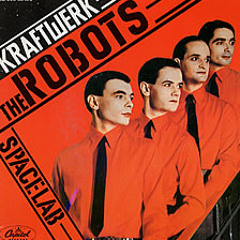 Kraftwerk - The Robots (Neerslag 2014 Interpretation)