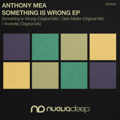 Anthony Mea - Something is Wrong EP [NUEVA DEEP]