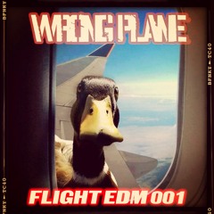 Wrong Plane - Flight EDM 001 [MIxtape]