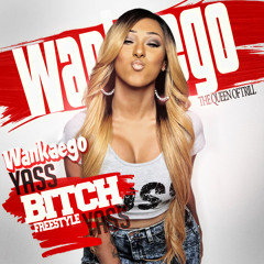 Yass Bitch (Freestyle)