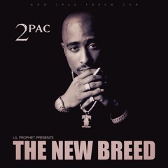 2pac, Ice Cube, Biggie, Mobb Deep, Nas, The Game & Jay - Z - Still D.R.E. Remix.MP3