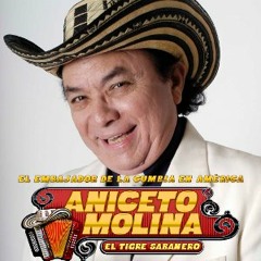 Aniceto Molina Mix - Deejay Tonio (Puras Cumbias)