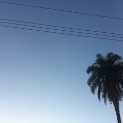 Anderson Noise & Dani Antonopoulos - "Tropicana"