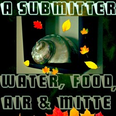 Hussain - Water, Food And Air