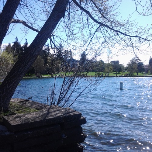 Stream Chocolate Jesus (Tom Waits cover) by cherrity case Listen