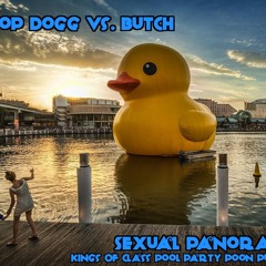 Snoop Dogg Vs. Butch - Sexual Panorama (Kings Of Class Pool Party Poon Punisher)
