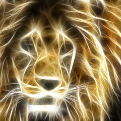 Express Your Animal Like This 1