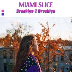B1 Miami Slice - Step Into Me