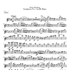 FSchubert-Symphony #5 in Bb - IV (Allegro vivace)