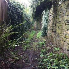 Window to the beyond