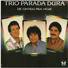 Trio Parada Dura - Tinha Que Ser Eu.