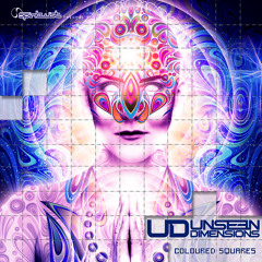 Unseen Dimensions - Seen