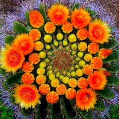 andyflip - Suspended Animation