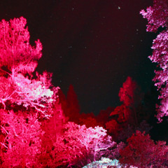 Mossmoss in the Coral Kingdom @ Chillits | 26th of June 2013