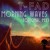Artwork for T-FAD aka System shaker - Morning Waves (2011) [UNMASTERED DEMO VERSION]