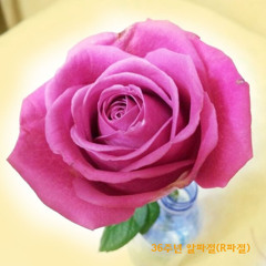 나는 행복하다-36주년 알파절(R파절)