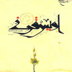 باز هوای وطنم آرزوست