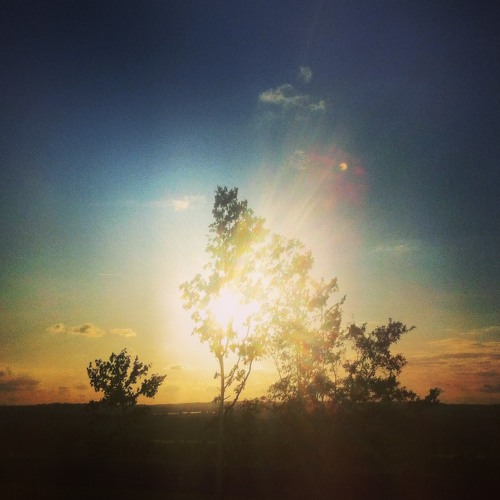 Hannes Fischer Together Indie Shuffle