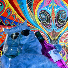 DJ TLR - I Gave DMT To My Cat And Then I Had A Meaningful Conversation With It