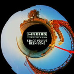 Mr Bird Featuring Greg Blackman - Since You've Been Gone (The Paragons Of Goodness Remix)