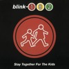 blink-182-stay-together-for-the-kids-acoustic-chippychipz