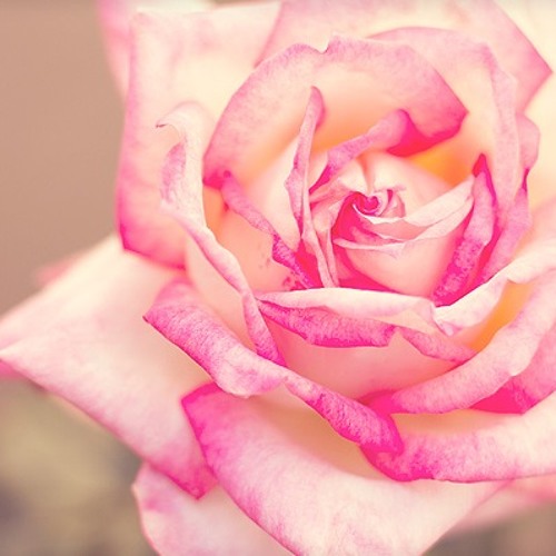 Dreaming You - Mojtaba Zaghei