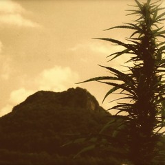 La Piojosa vs. Are Am Eye vs. Samba Malato - Bo Avenue Blends