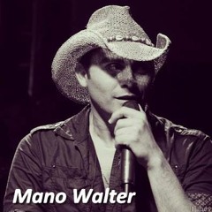 01 - Musica Nova Mano Walter Nao Dei Valor -