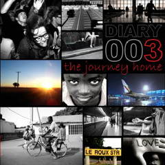 DIARY 003 MASTER :: THE JOURNEY HOME