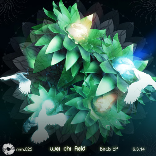 Walking With The Spirits (Birds)
