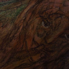 I Don't Like The Drugs(But The Drugs Like Me)