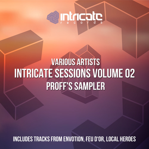 Feu d'Or - The Computer [Intricate Sessions Vol.2]