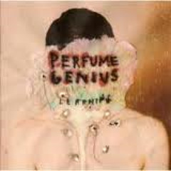 Sister Song - PerfumeGenius