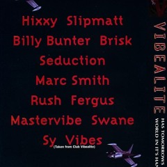 VIBES (CLUB VIBEALITE)-VIBEALITE - HAS TOMMOROWS WORLD IN IT'S HANDS 22.06.96